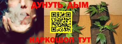 a pvp Обнинск