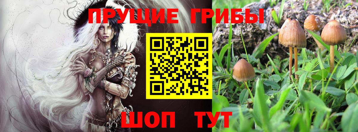 Галлюциногенные грибы Psilocybine cubensis  Вход с VPN  где можно купить наркотик  Топки 