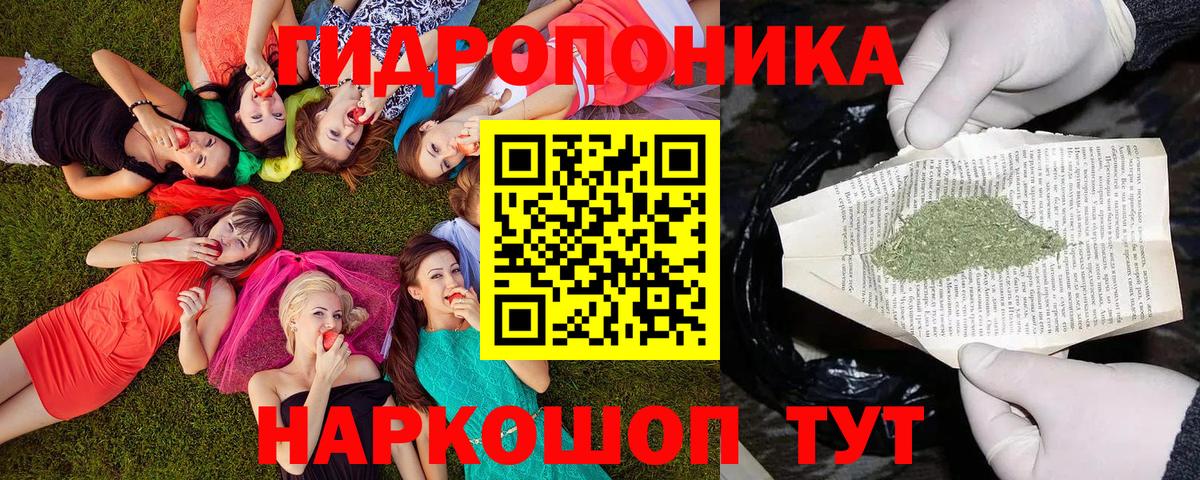 Марихуана Bruce Banner  Вход с VPN  Топки  Бошки марихуана White Widow 